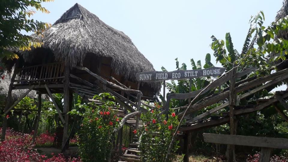 Sunny Field Eco Stilt House Villa Cát Tiên Eksteriør bilde