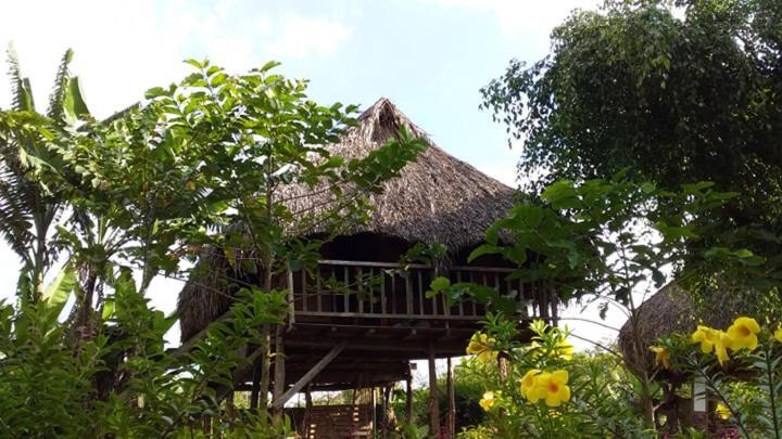 Sunny Field Eco Stilt House Villa Cát Tiên Eksteriør bilde